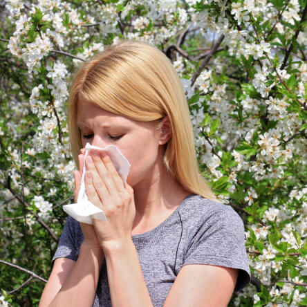 Alergie – příčina a nejčastější příznaky