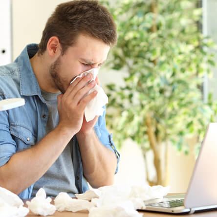 Diagnostika a léčba alergie